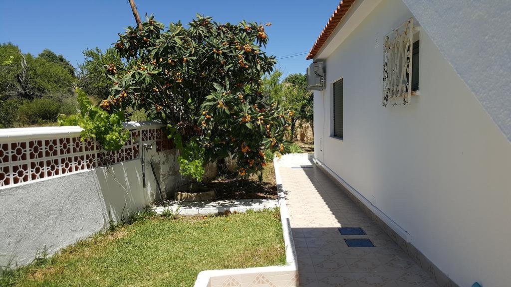 Holiday home V4 Filomena