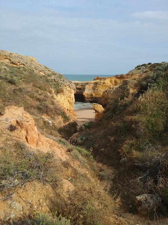 Casa Cereja 'adults Only' Bed & Breakfast