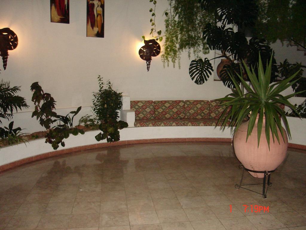 Jeannie's Oura Estrela Apartment Albufeira