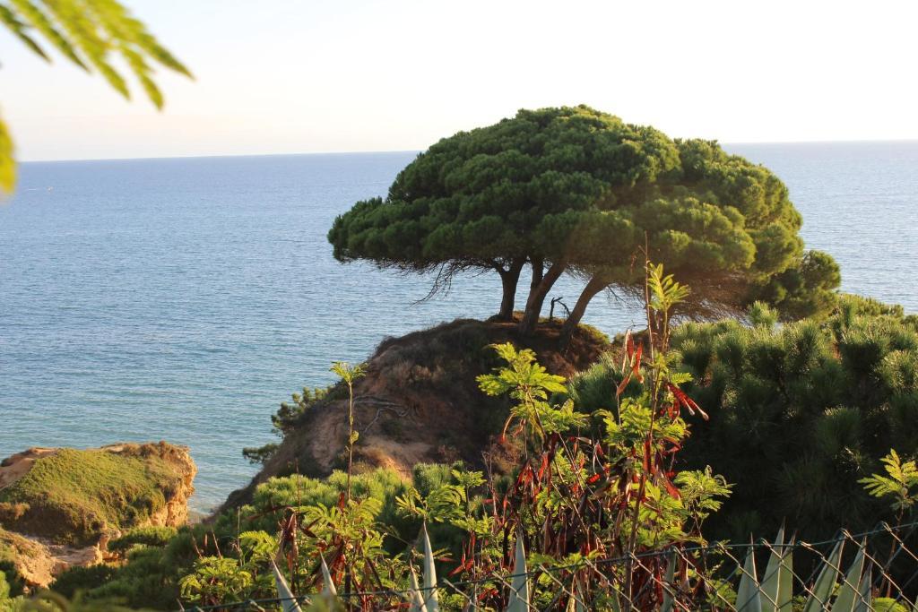 Alfagar Village Apart-hotel Albufeira