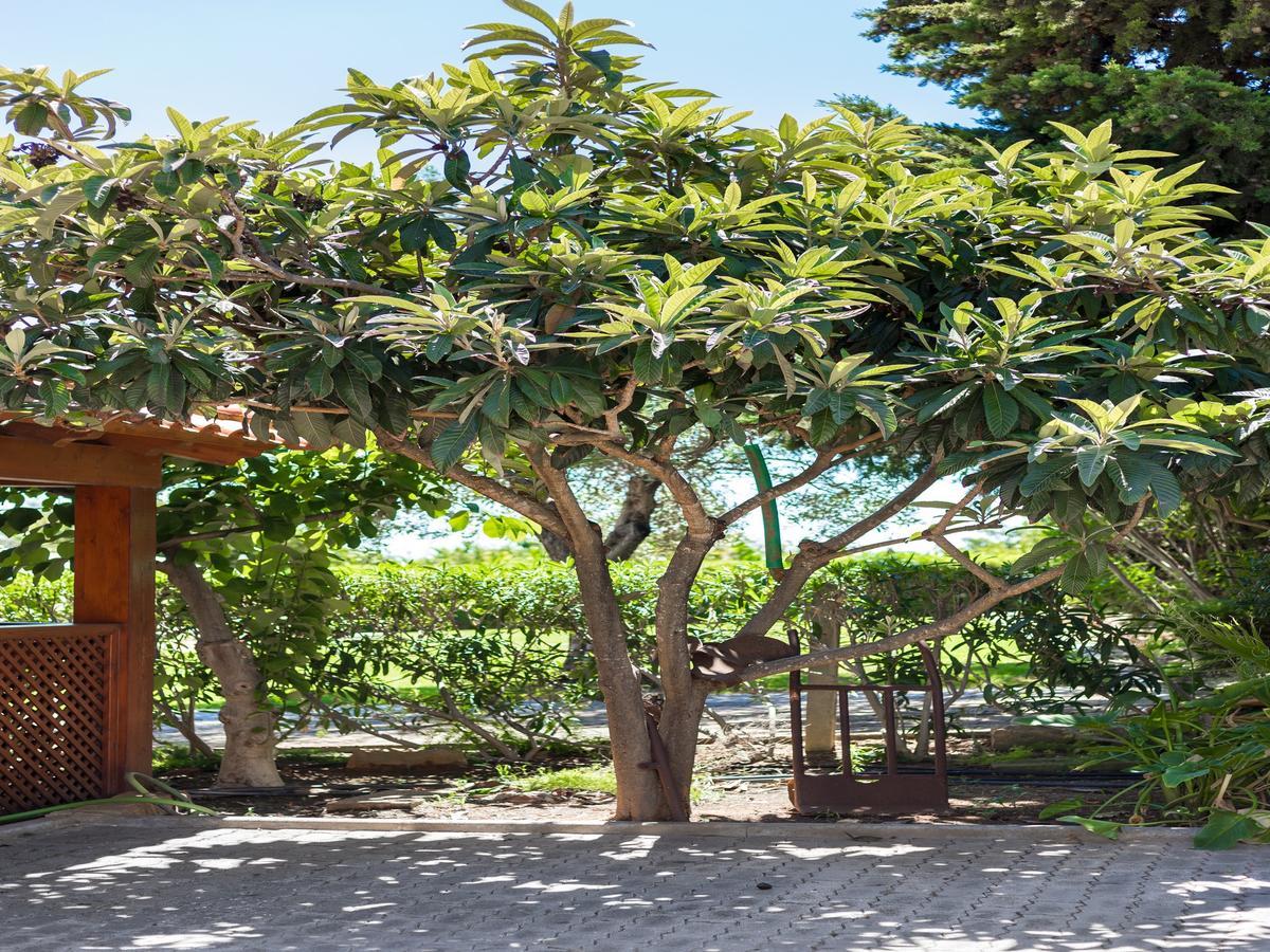 Flor Da Laranja, Apartamento *
