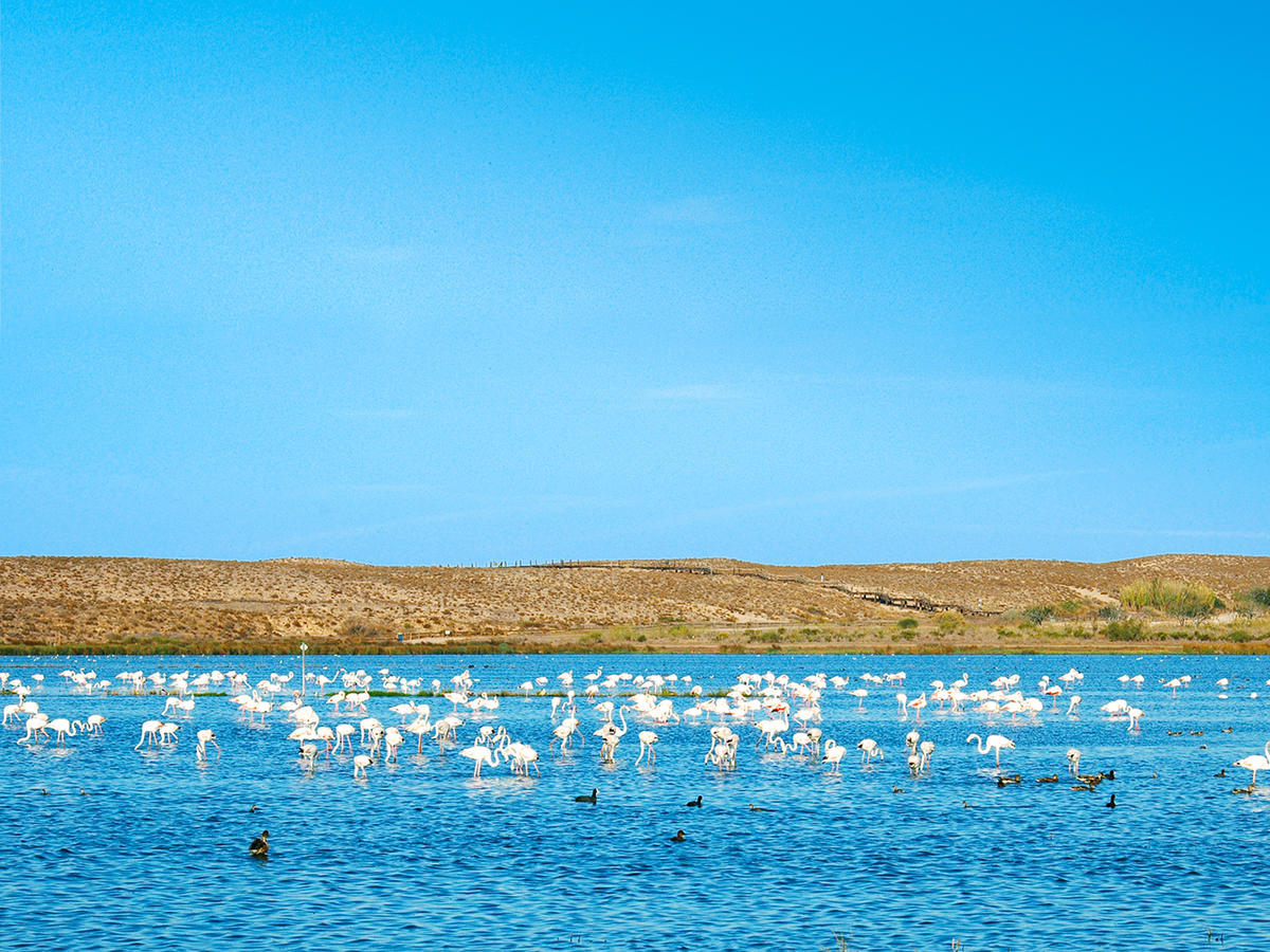 Nau Salgados Lagoas