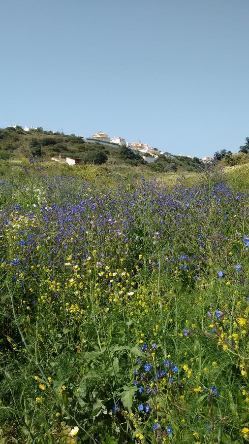 Casa Cereja 'adults Only' Bed & Breakfast Albufeira