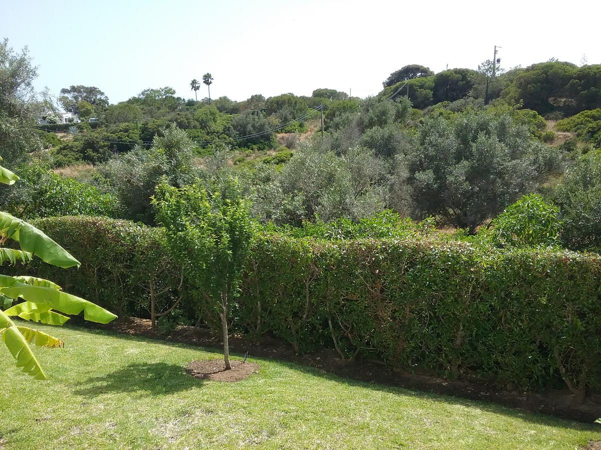 Casa Cereja 'adults Only' * Albufeira