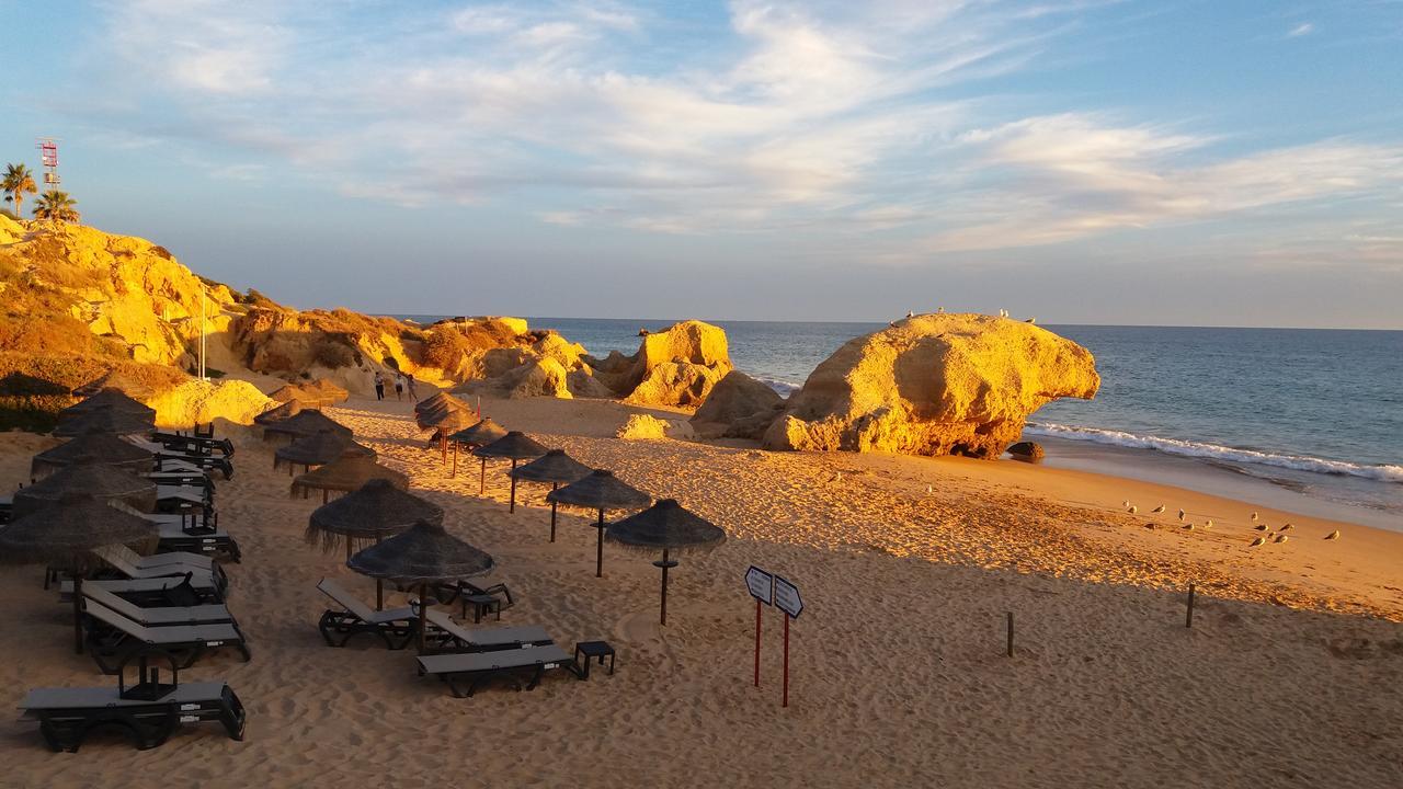Bed & Breakfast Casa Cereja 'adults Only'