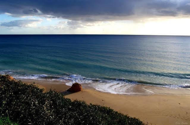 Villa Paraiso Spacious And Central To Enjoy Best Beaches Ac Wifi Garden Pool Albufeira