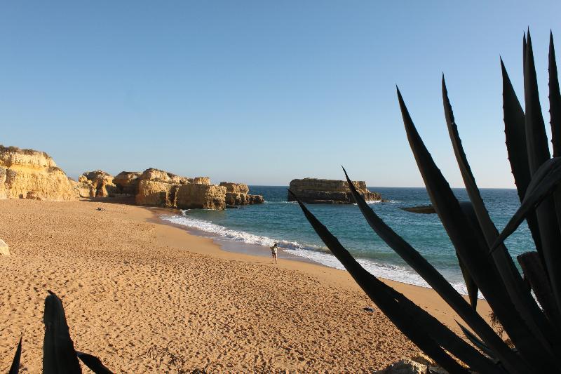 Torre Velha Al Guest house Albufeira