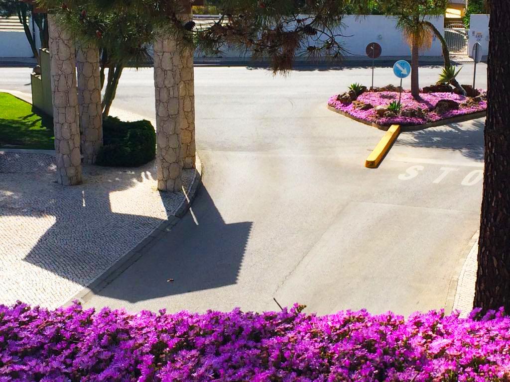 Pine Sun Park - Durcosa * Albufeira