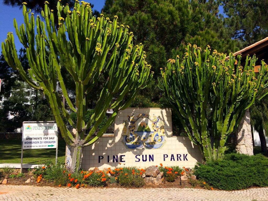Pine Sun Park - Durcosa *