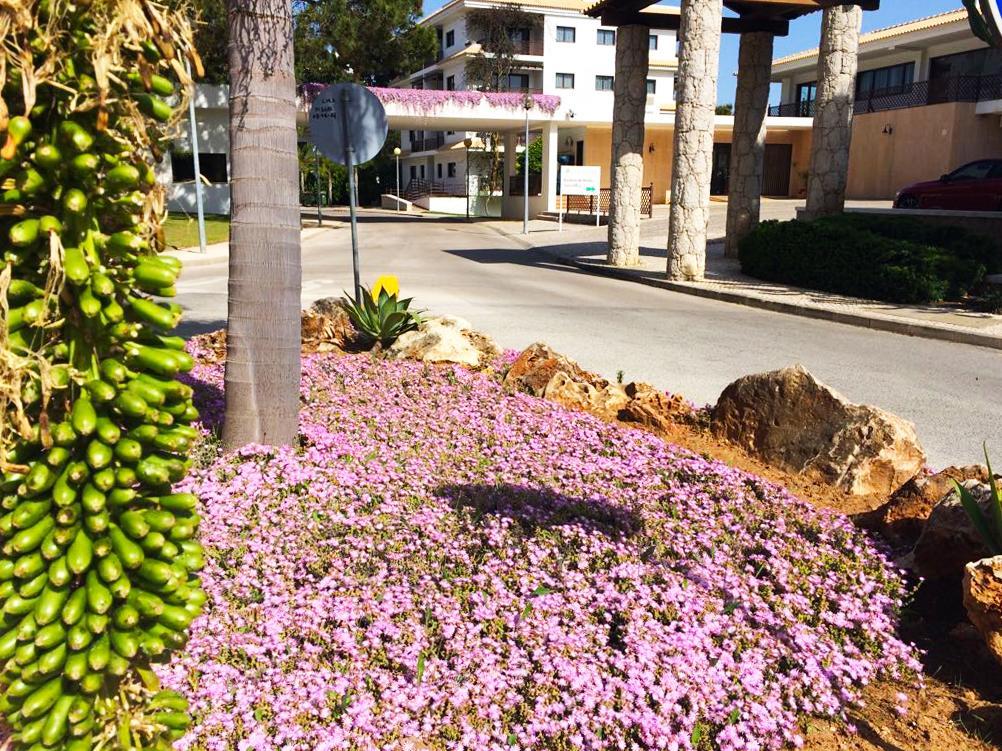 Pine Sun Park - Durcosa * Albufeira