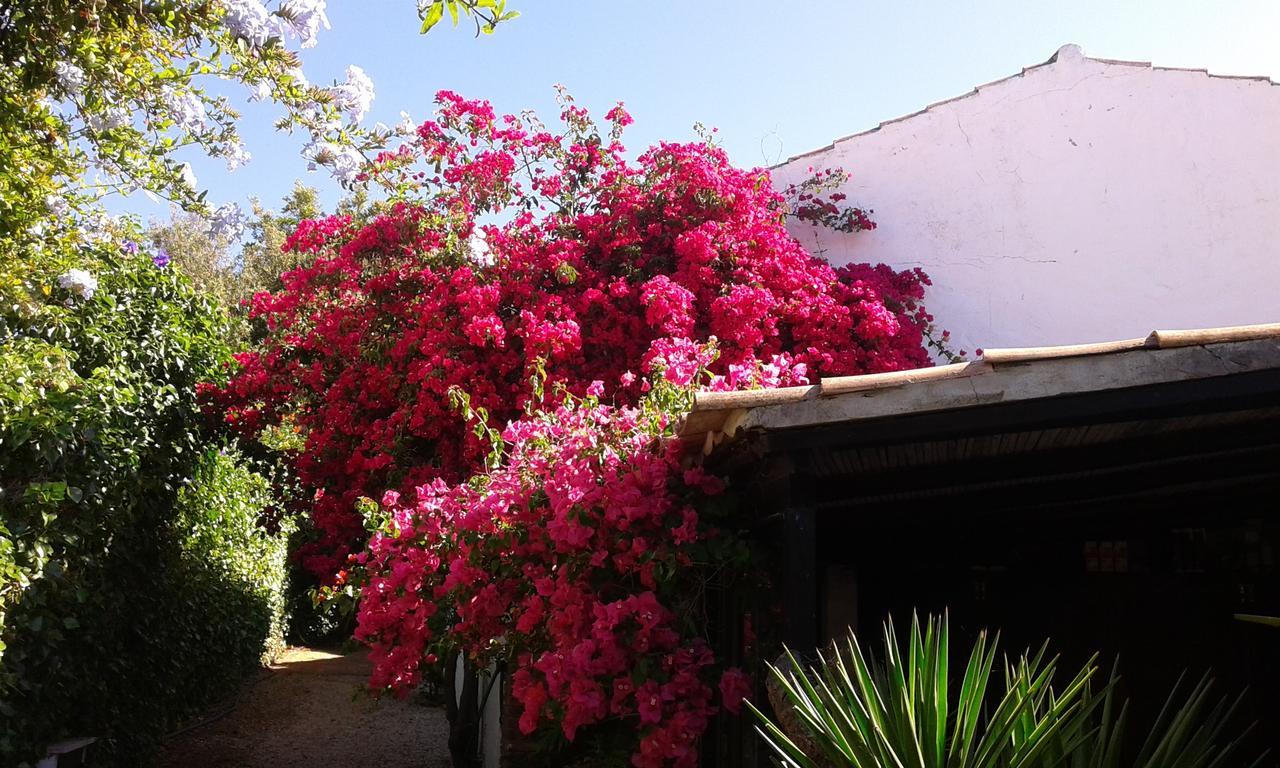 Quinta Das Flores Albufeira