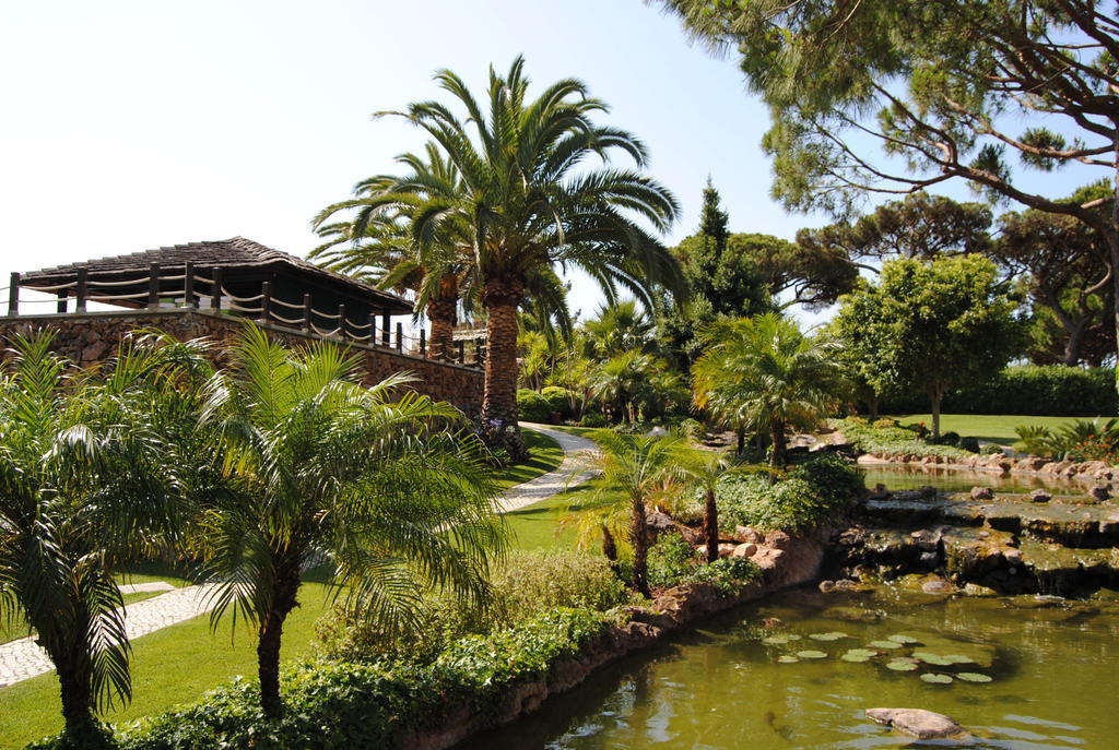 Falesia - Adults Only Hotel Albufeira