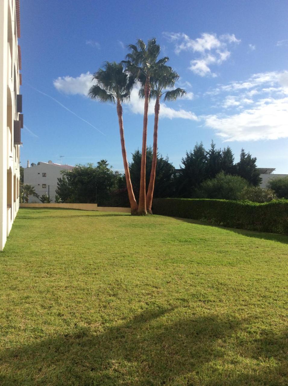 Yangmar By Alzira Apartment Albufeira
