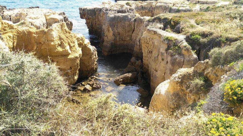Lena Albufeira