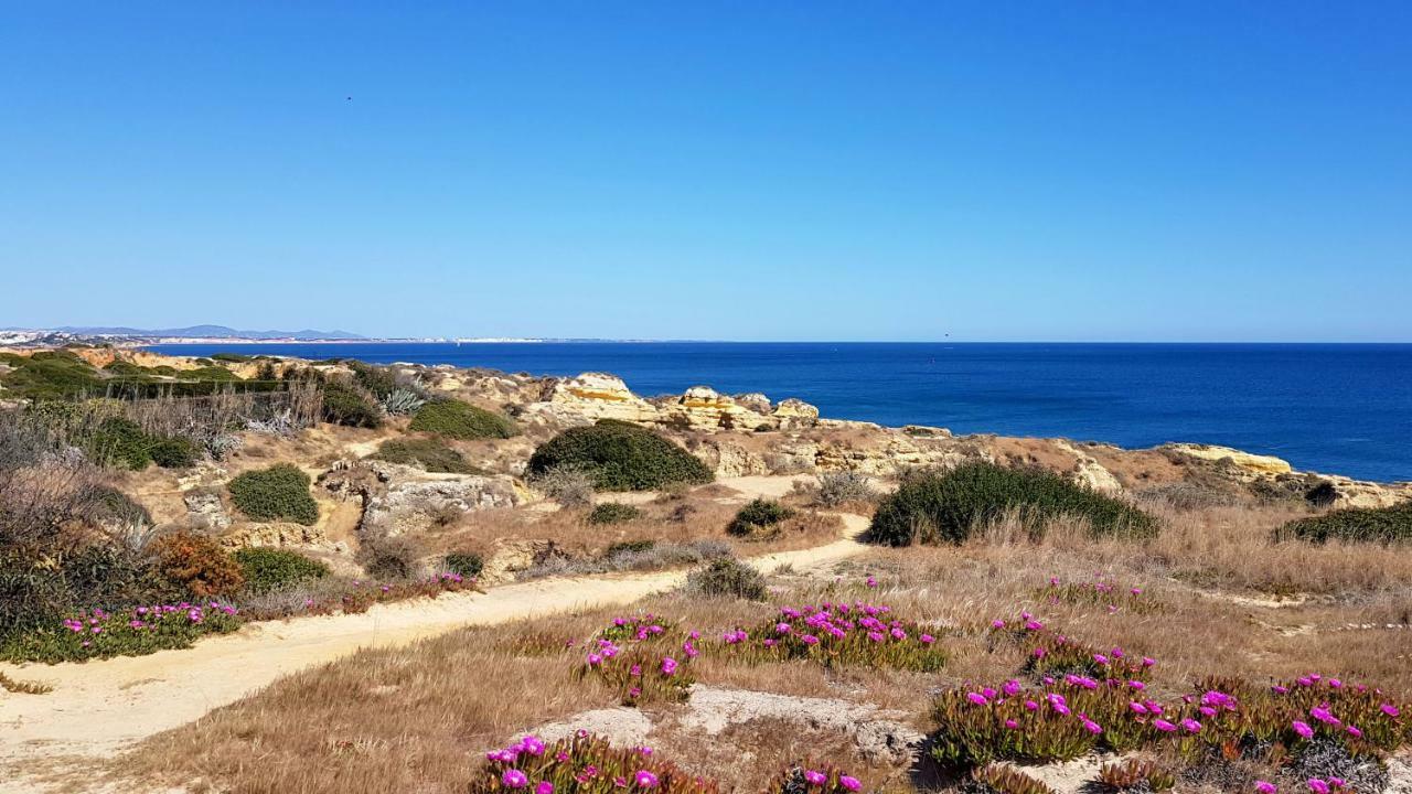 Magnific With A Cozy Garden, 5 Minutes To The Albufeira