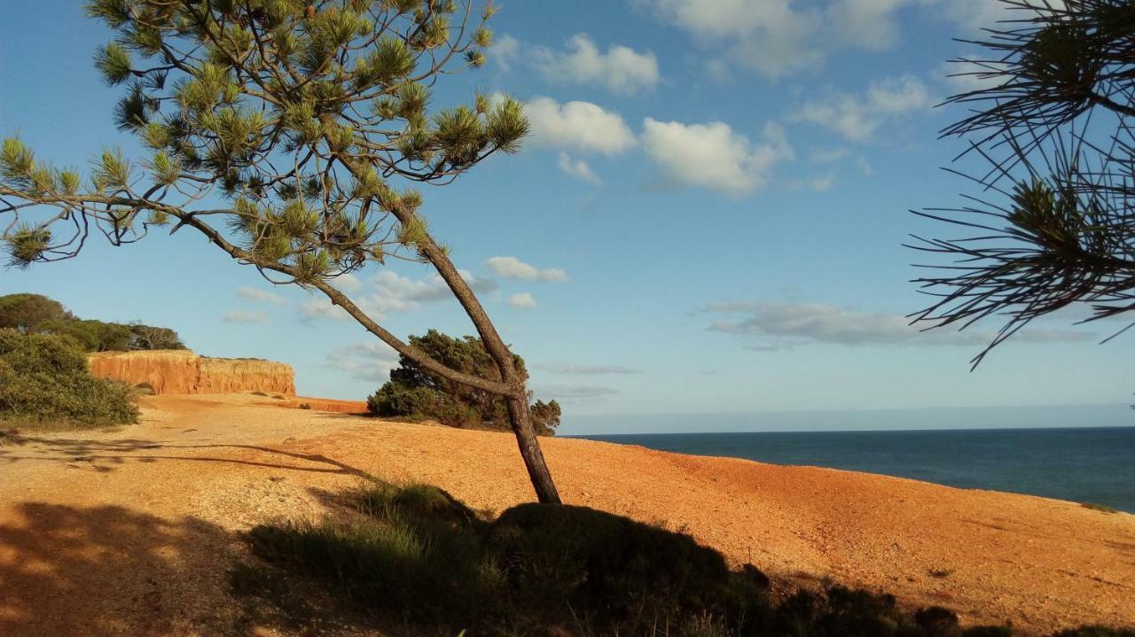 Excelente Apartamento - Da Falesia - Alfamar - Zona Tranquila Albufeira