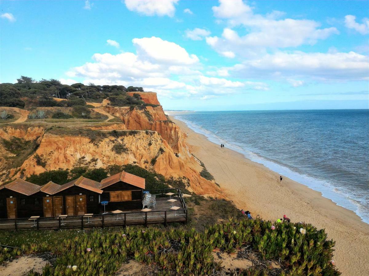 Excelente Apartamento - Da Falesia - Alfamar - Zona Tranquila Apartamento