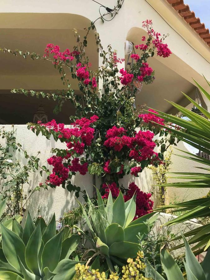 Cegonha Powered By Cegonha Resort- Private Swimming Pool & Air Con Albufeira