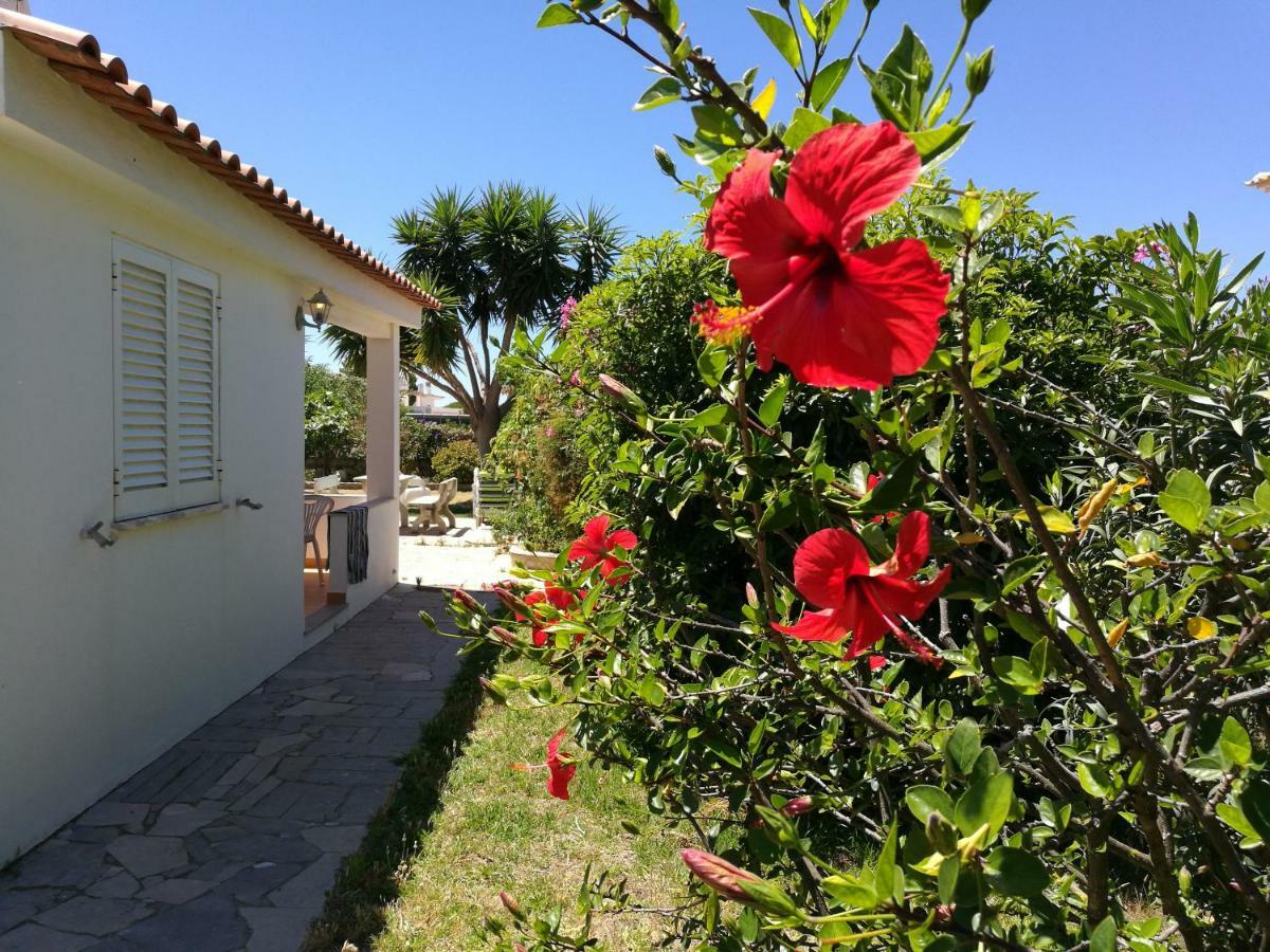 Apartment House Por Do Sol - Private Swimming Pool - By Bedzy