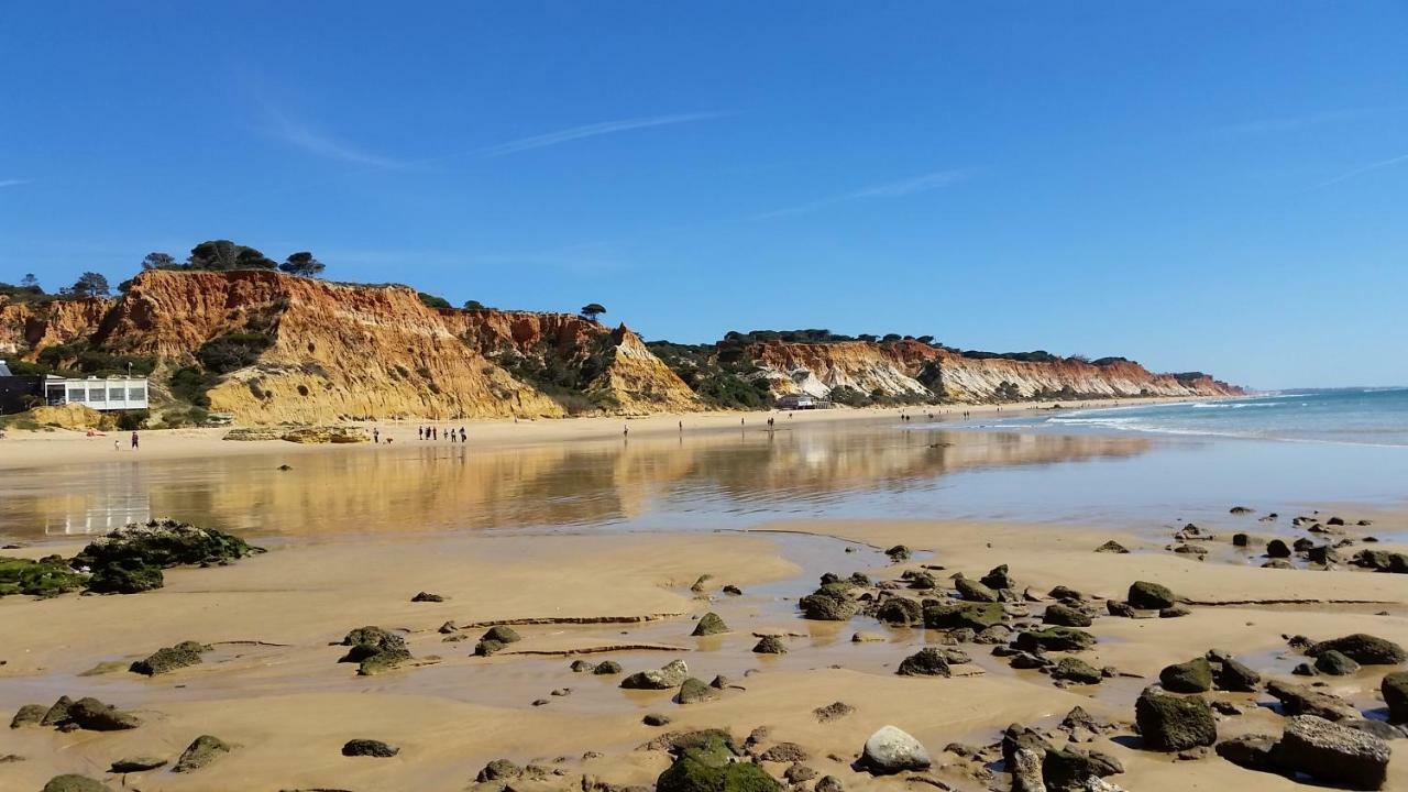 Vista Ondas Olhos De Agua *