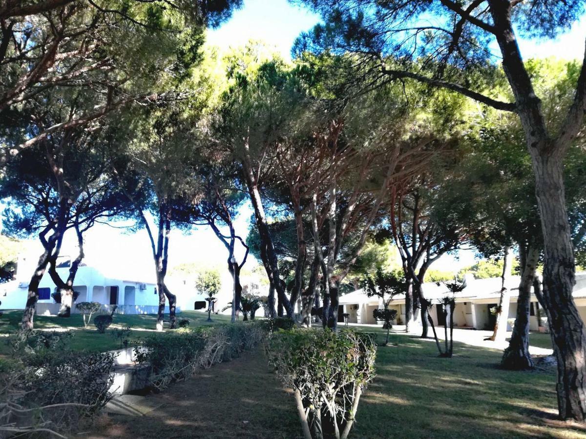 Cozy Studio Acoteias Appartement Albufeira