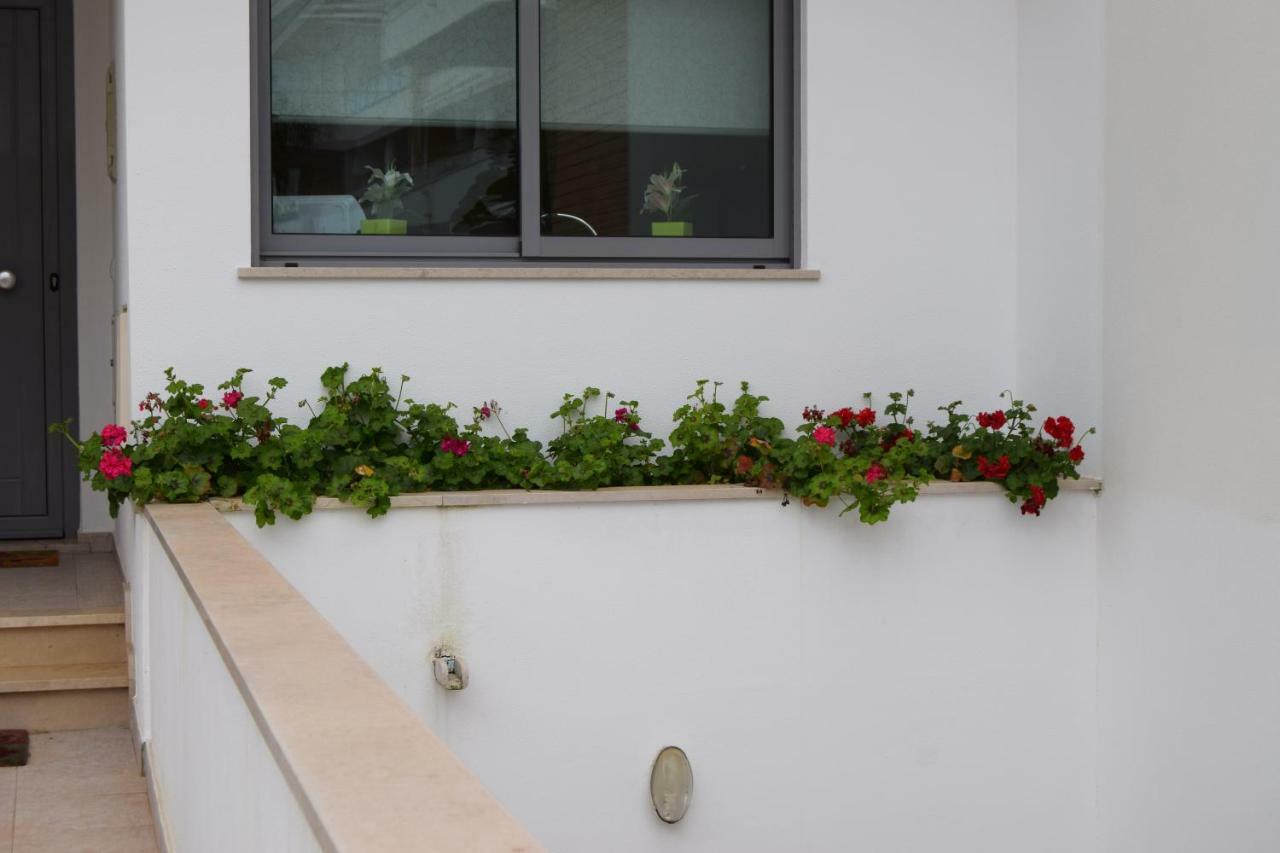 Holiday home Branca *