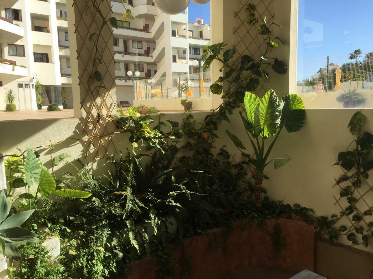 Charmosous Flat Apartment Albufeira