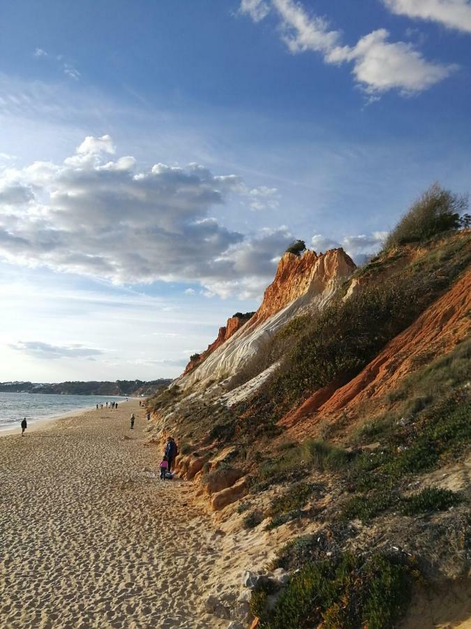 Algarve *