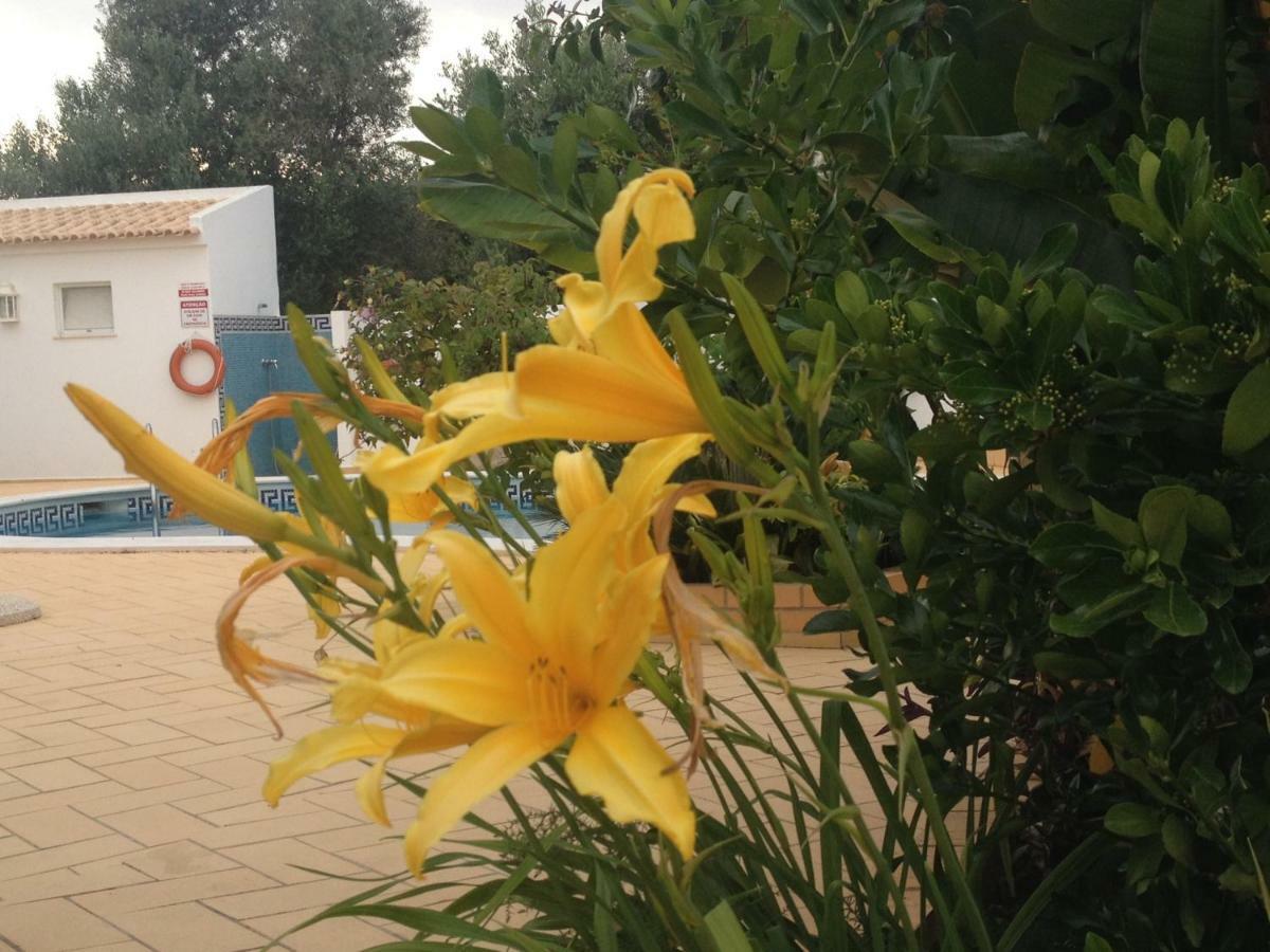 Apartment Vilabranco Albufeira
