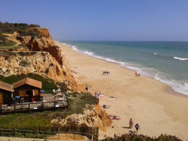 Apartamento Praia Da Falesia