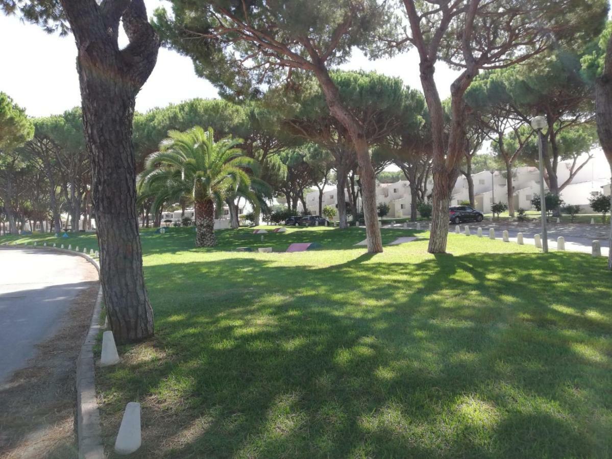 Arvore Da Vida Albufeira