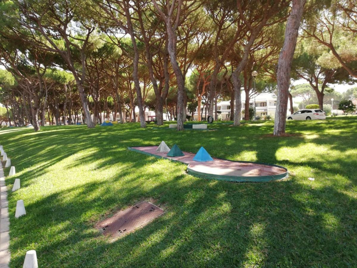 Arvore Da Vida * Albufeira