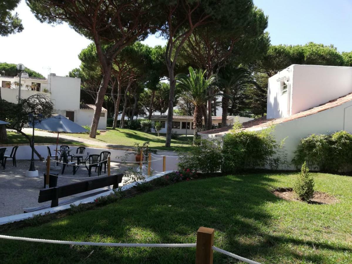 Arvore Da Vida Apartment