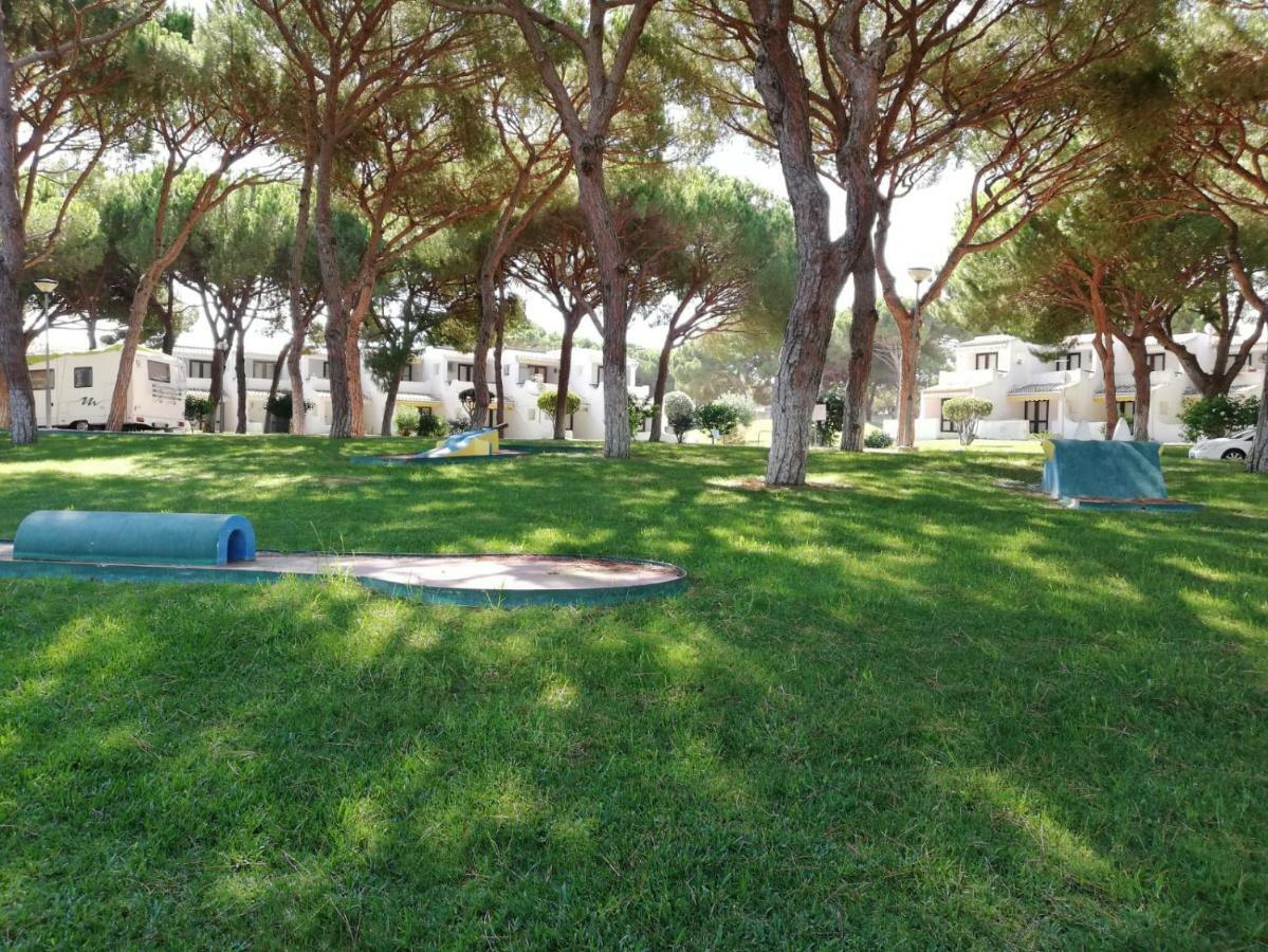 Apartment Arvore Da Vida *