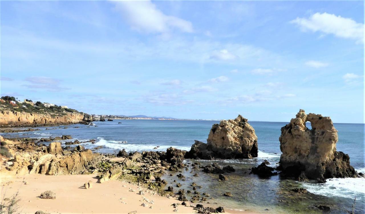 Sunny Close To The Albufeira