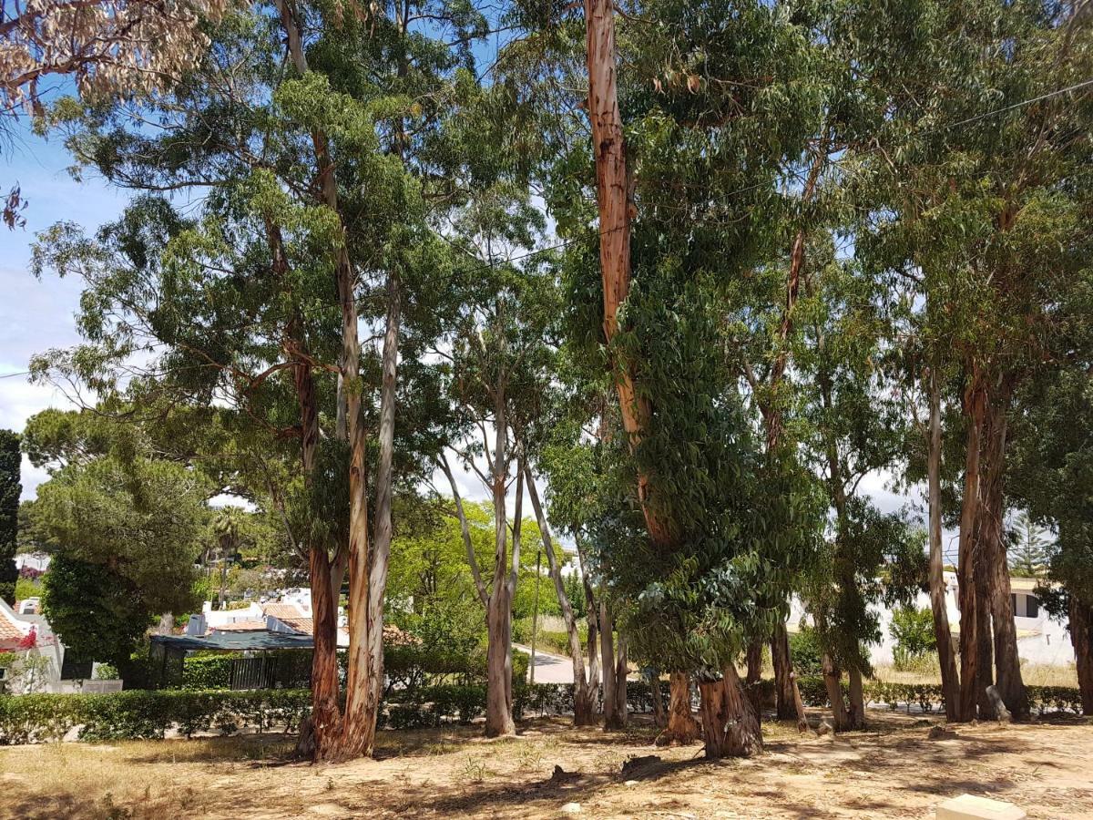 Remodelada Villa Nos Jardins Da Balaia * Albufeira