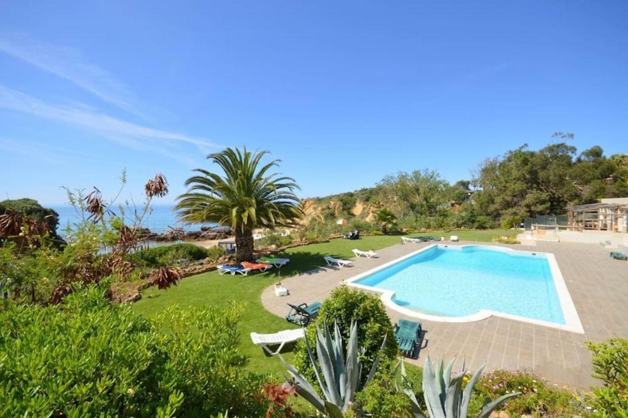 Magnifique Sur La ... Apartment