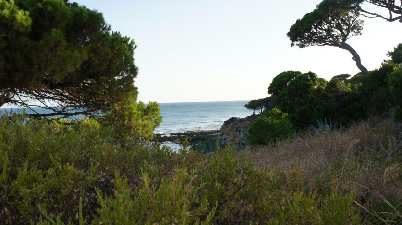 Appartement Luxurious T2 Apartment, Olhos Dagua Albufeira