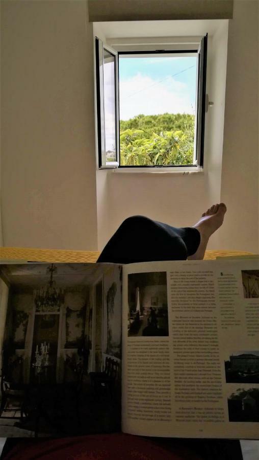 Golden Cliff House Appartement