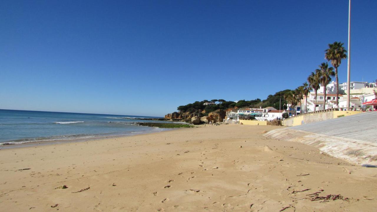 Pomba Branca Apartamento