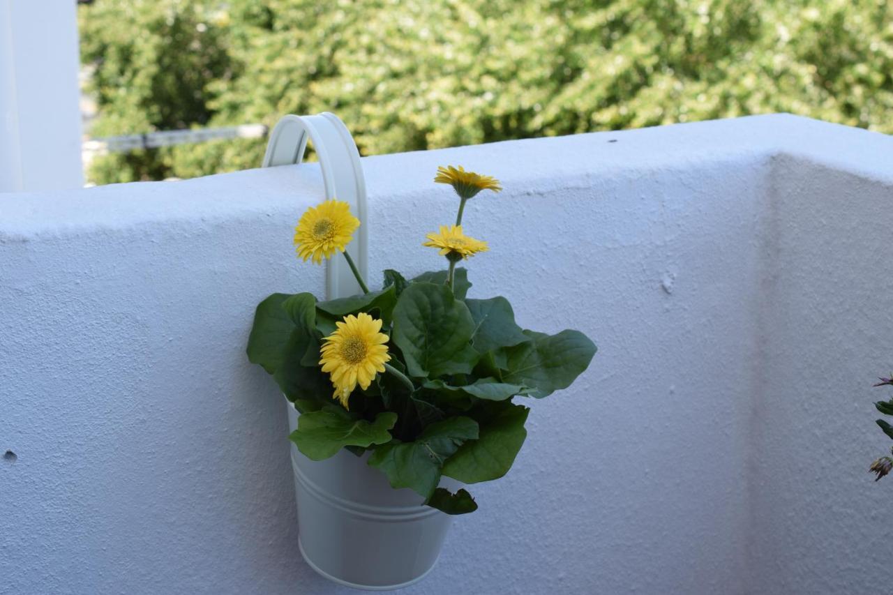 Peneco Ii Apartamento Albufeira