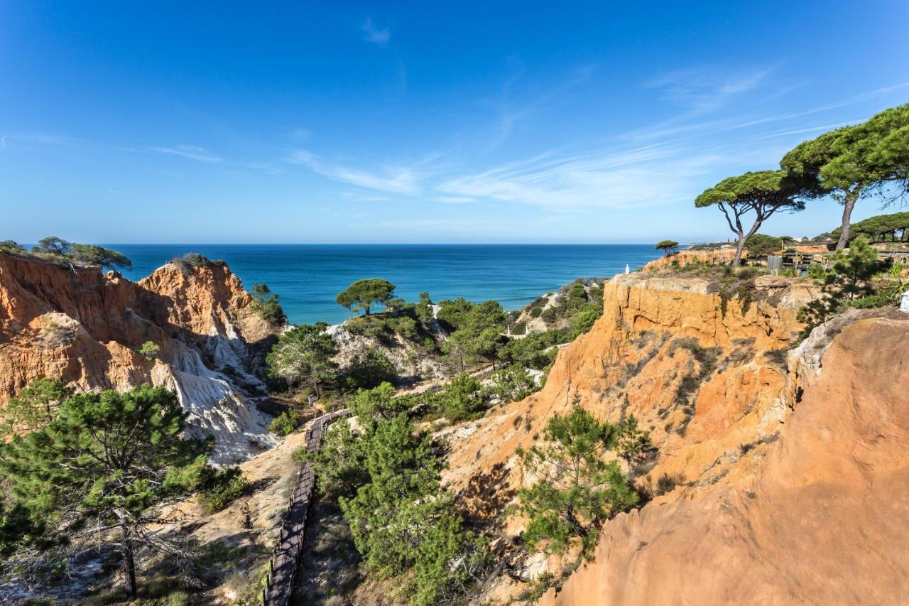 Hotel Pine Cliffs Gardens 5*