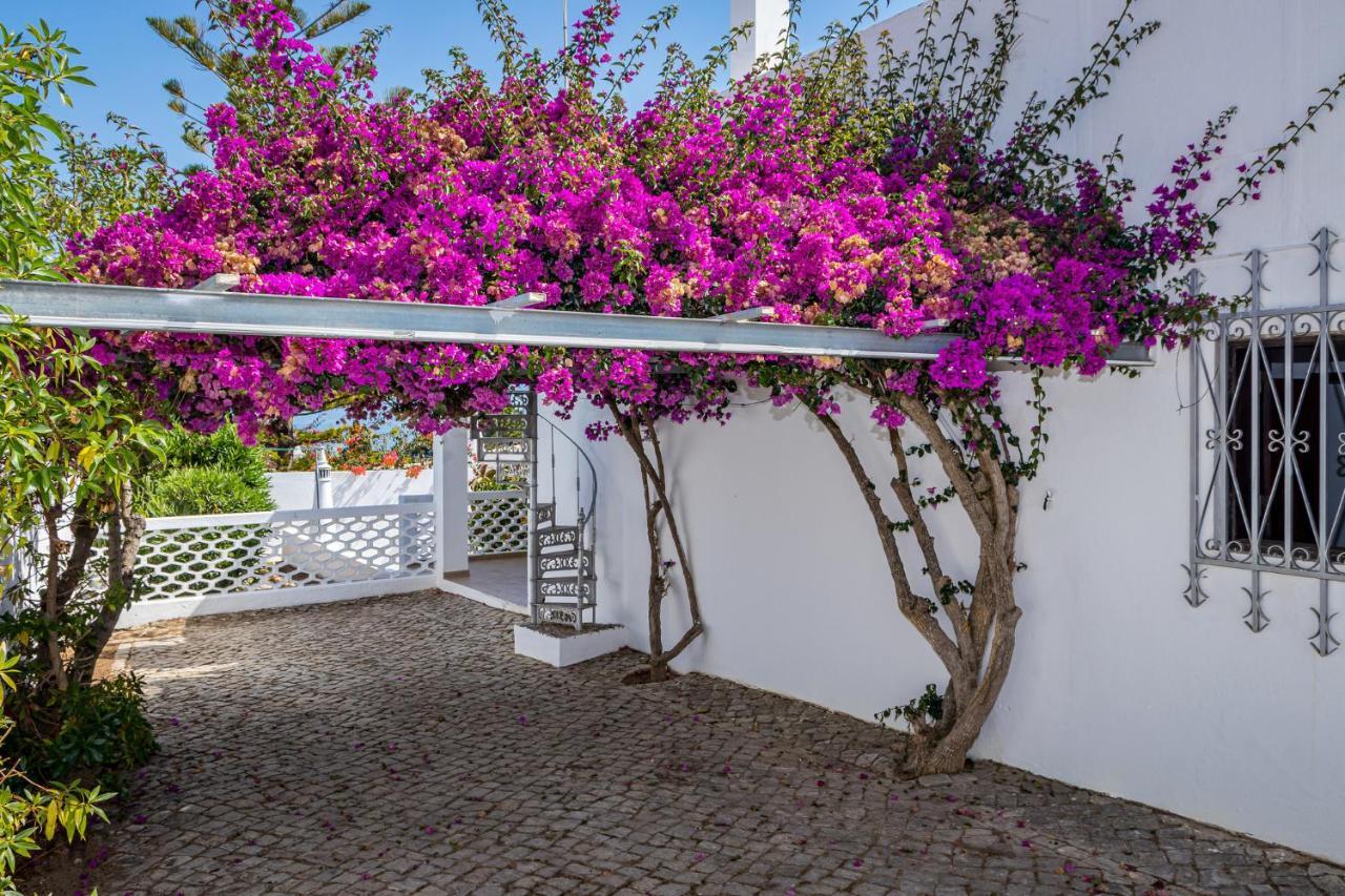 Lima Albufeira