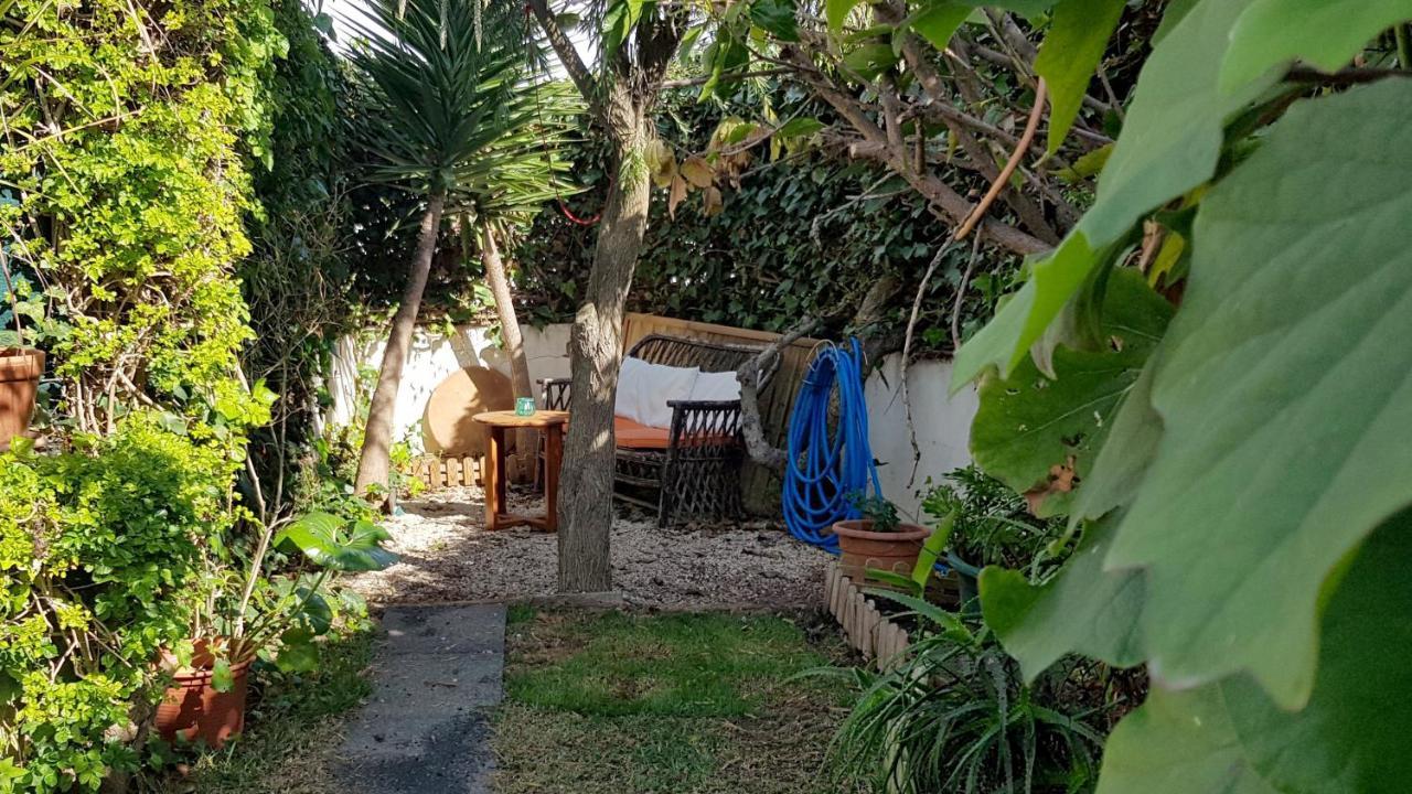 Cozy Garden T1 Near The Apartment Albufeira