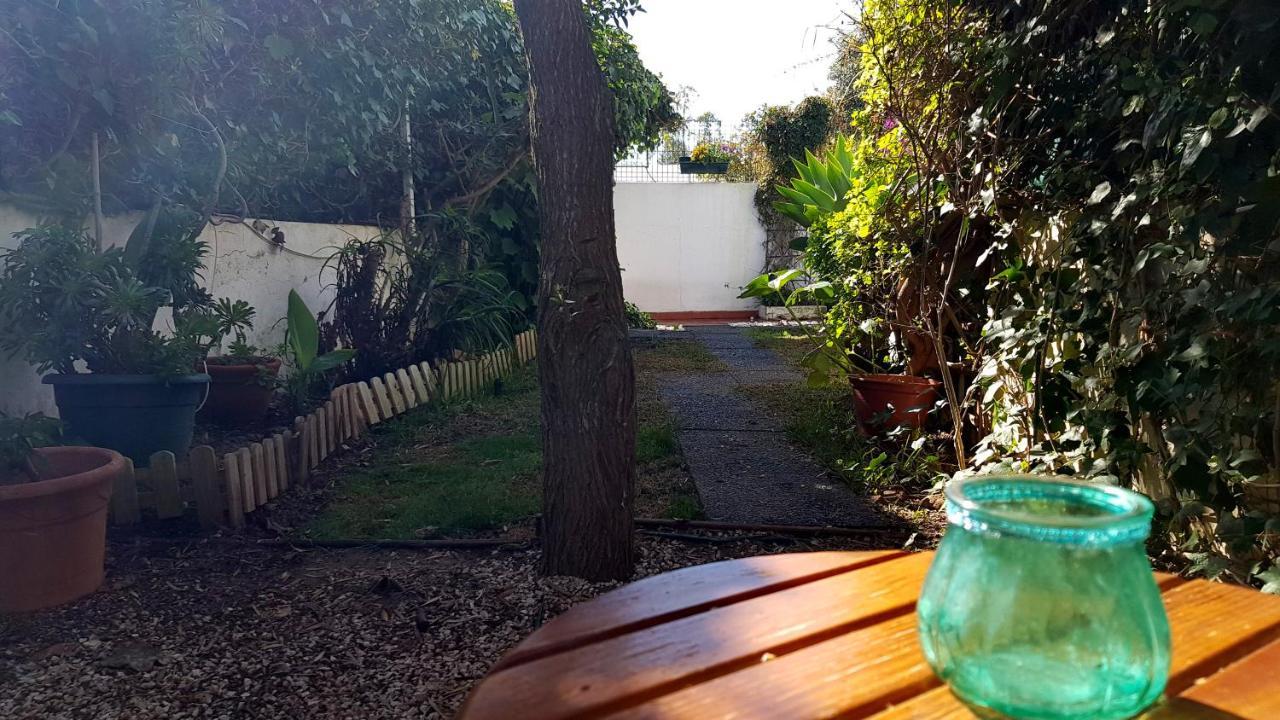 Apartment Cozy Garden T1 Near The