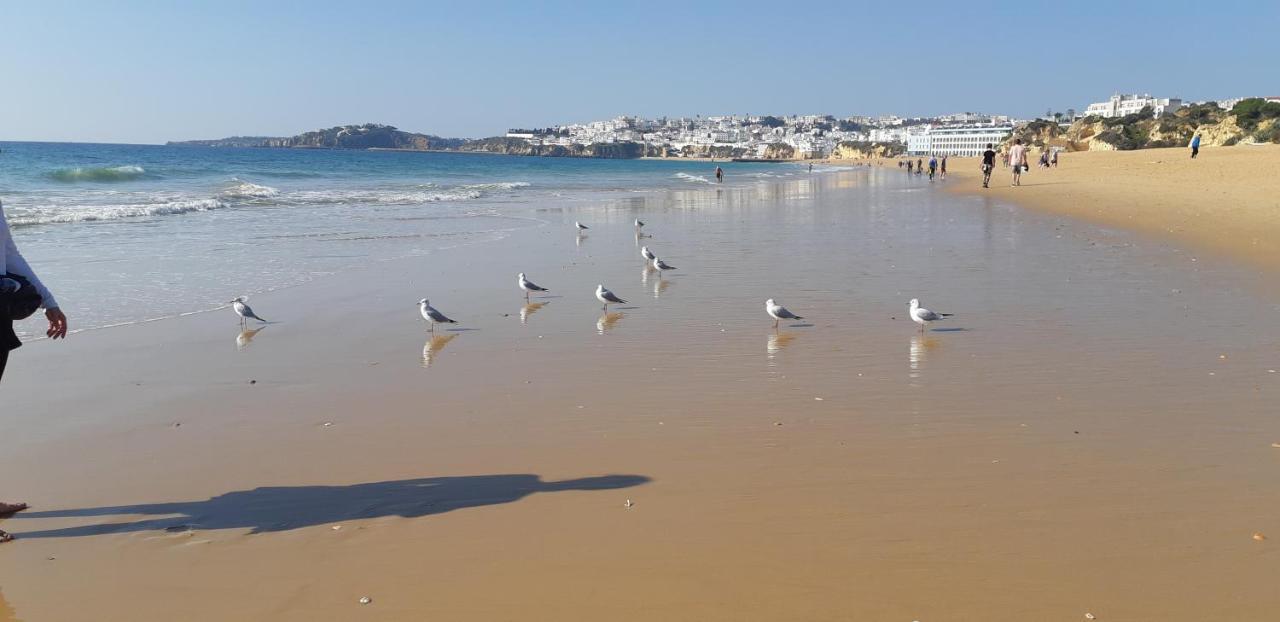 Jeannie's Oura Estrela Albufeira