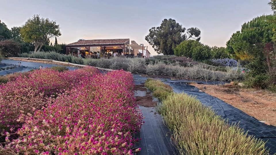 Quinta Do Mel Country house Albufeira