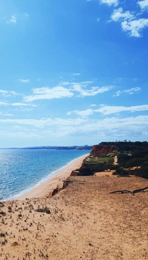 Hotel Falesia - Adults Only Albufeira