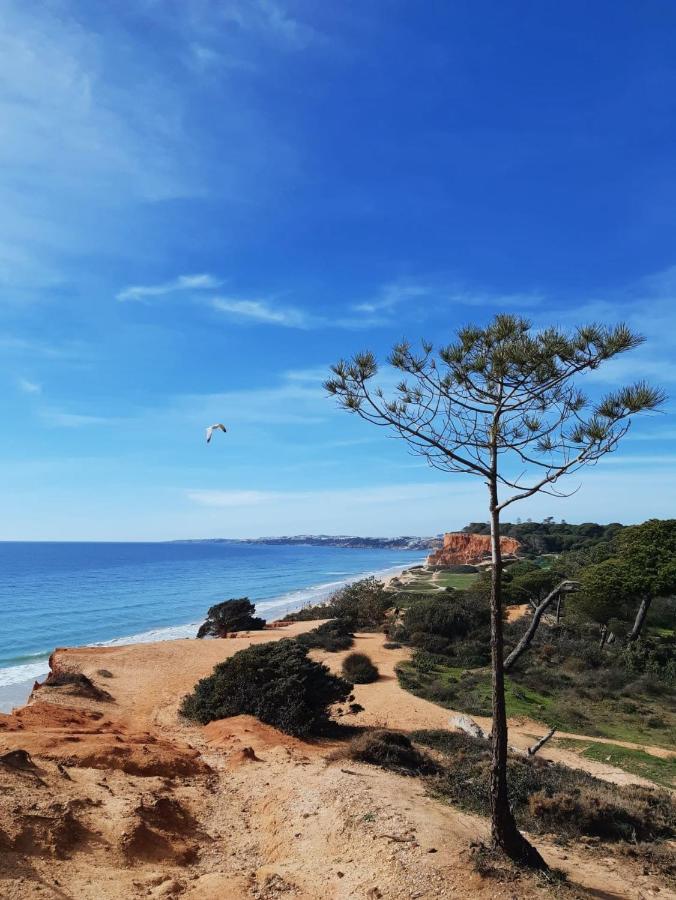 Falesia - Adults Only Hotel Albufeira