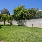 T1 Bela Vista